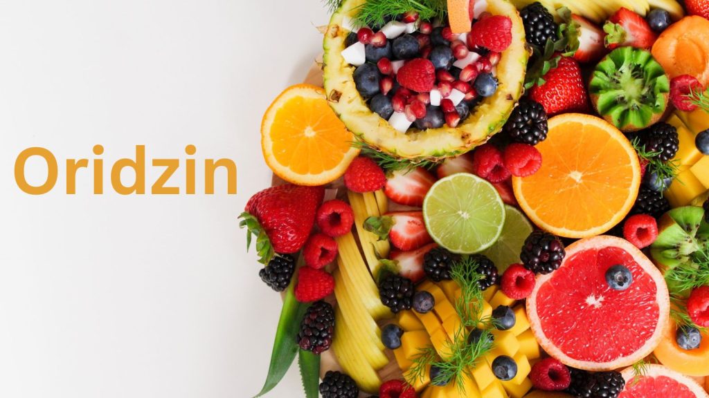 Oridzin: Preserving Heritage in a Modern World Oridzin: Preserving Heritage in a Modern World